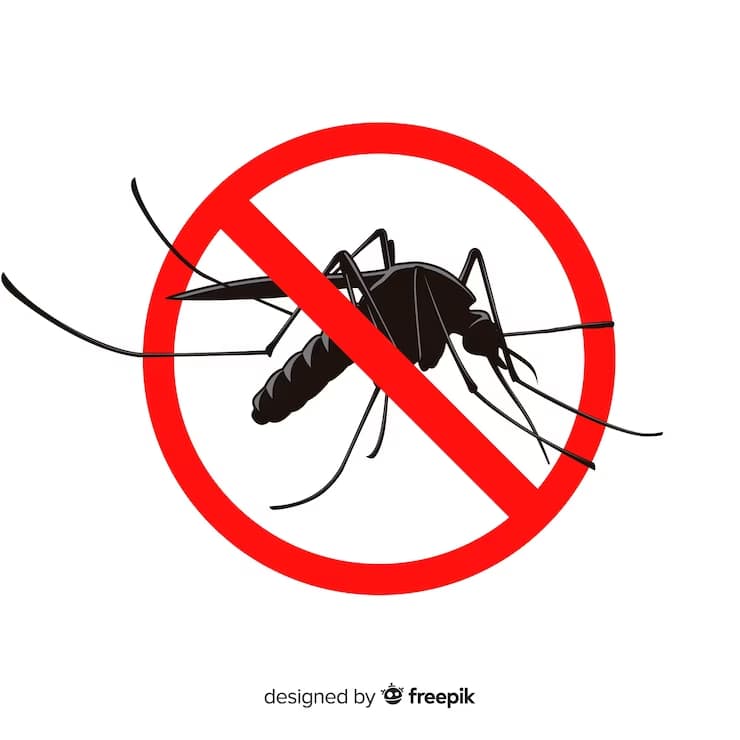 Mosquito da Dengue